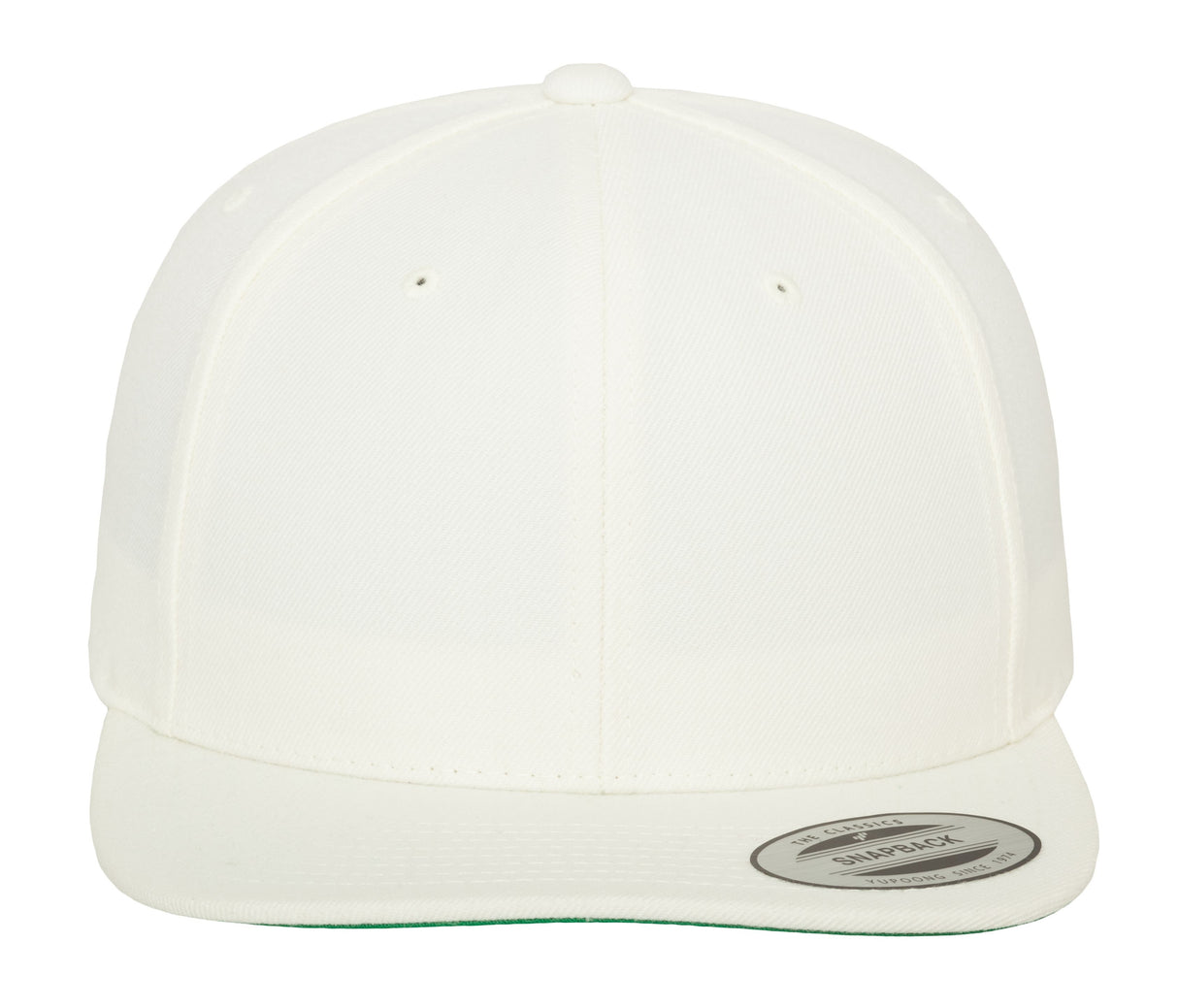 FLEXFIT CLASSIC SNAPBACK CAP