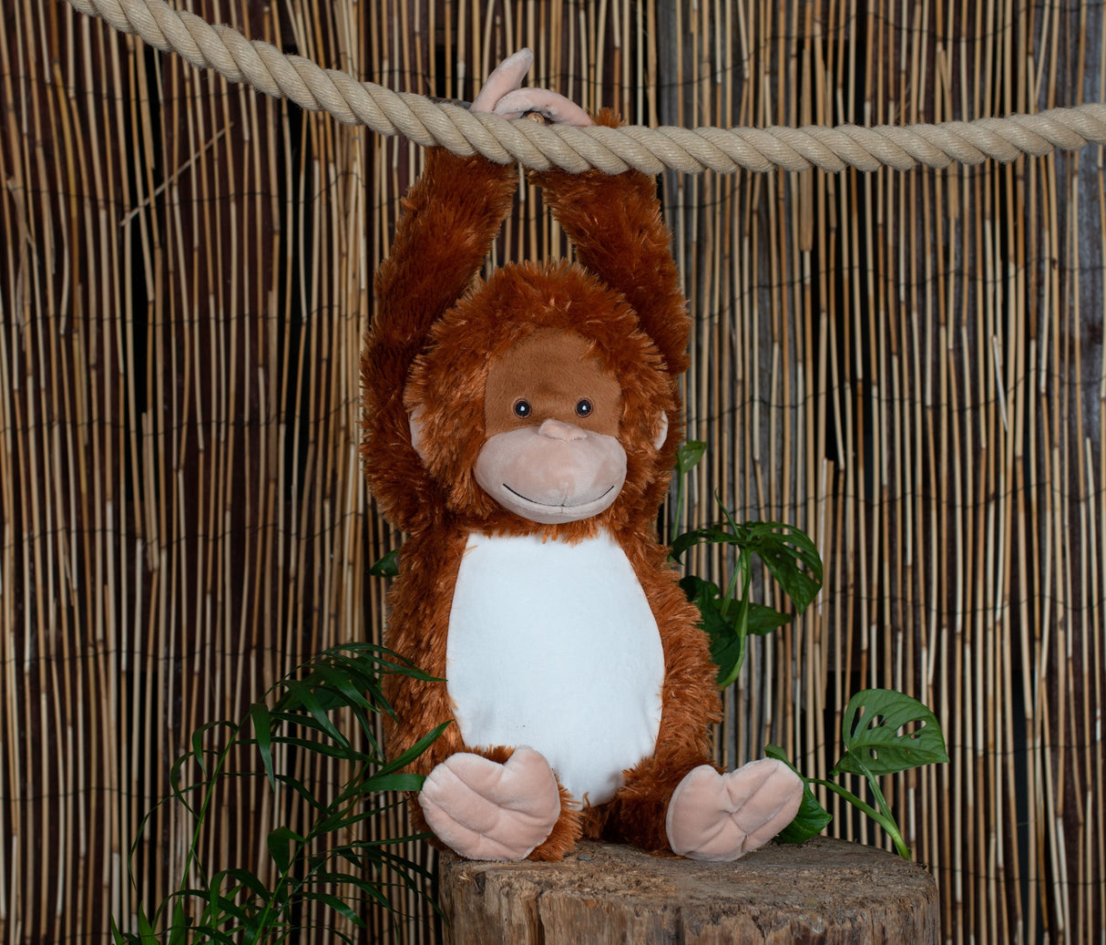 Zippie Orangutan