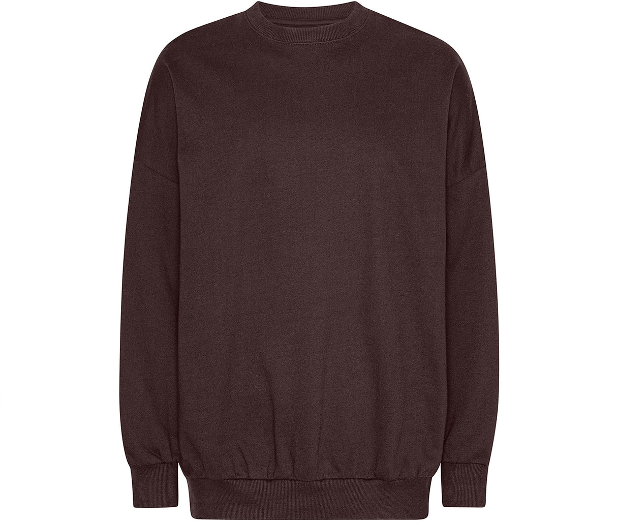 TIGER OVERSIZED SWEATSHIRT