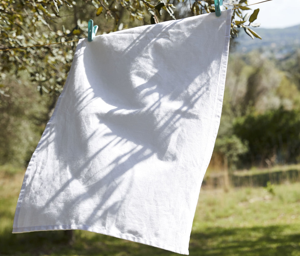 WESTFORD MILL TEA TOWEL