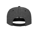 CHAMBRAY SUEDE SNAPBACK