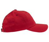 FLEXFIT CLASSICS DAD CAP