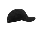 FLEXFIT CLASSICS DAD CAP