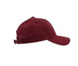 FLEXFIT CLASSICS DAD CAP