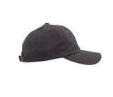 FLEXFIT CLASSICS DAD CAP