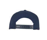 FLEXFIT FLEXFIT 110 CURVED VISOR SNAPBACK