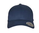 FLEXFIT FLEXFIT 110 CURVED VISOR SNAPBACK