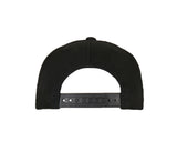 FLEXFIT FLEXFIT 110 CURVED VISOR SNAPBACK