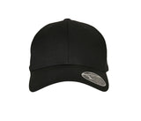 FLEXFIT FLEXFIT 110 CURVED VISOR SNAPBACK