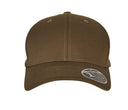 FLEXFIT FLEXFIT 110 CURVED VISOR SNAPBACK