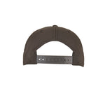 FLEXFIT FLEXFIT 110 CURVED VISOR SNAPBACK