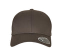 FLEXFIT FLEXFIT 110 CURVED VISOR SNAPBACK