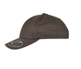 FLEXFIT FLEXFIT 110 CURVED VISOR SNAPBACK