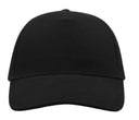 ATLANTIS HEADWEAR LIBERTY FIVE CAP
