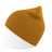RECY BEANIE