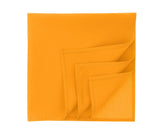 ATLANTIS HEADWEAR BANDANA GOAL-S