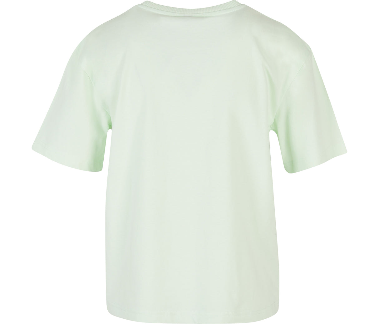 BUILD YOUR BRAND LADIES EVERYDAY TEE