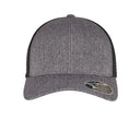 FLEXFIT 110® MESH 2-TONE CAP