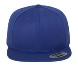 FLEXFIT CLASSIC SNAPBACK CAP
