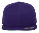 FLEXFIT CLASSIC SNAPBACK CAP