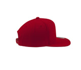 FLEXFIT CLASSIC SNAPBACK CAP