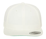 FLEXFIT CLASSIC SNAPBACK CAP