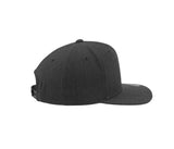 FLEXFIT CLASSIC SNAPBACK CAP