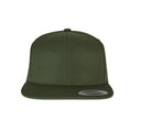 FLEXFIT CLASSIC SNAPBACK CAP
