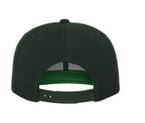 FLEXFIT CLASSIC SNAPBACK CAP