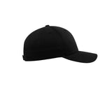 FLEXFIT CURVED CLASSIC SNAPBACK CAP