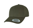 FLEXFIT CURVED CLASSIC SNAPBACK CAP