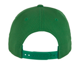 FLEXFIT CURVED CLASSIC SNAPBACK CAP