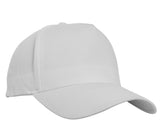 5-panel curved classic snapback