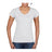 SOFTSTYLE® LADIES' V-NECK T-SHIRT