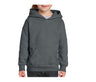 GILDAN HEAVY BLEND YOUTH HOODED SWEATSHIRT