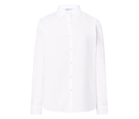 CASUAL & BUSINESS LADY SHIRT
