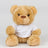 BEAR IN A T SHIRT