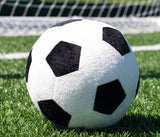 MUMBLES ZIPPIE FOOTBALL