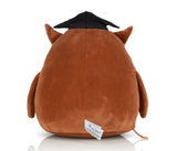 MUMBLES SQUIDGY WISE OWL