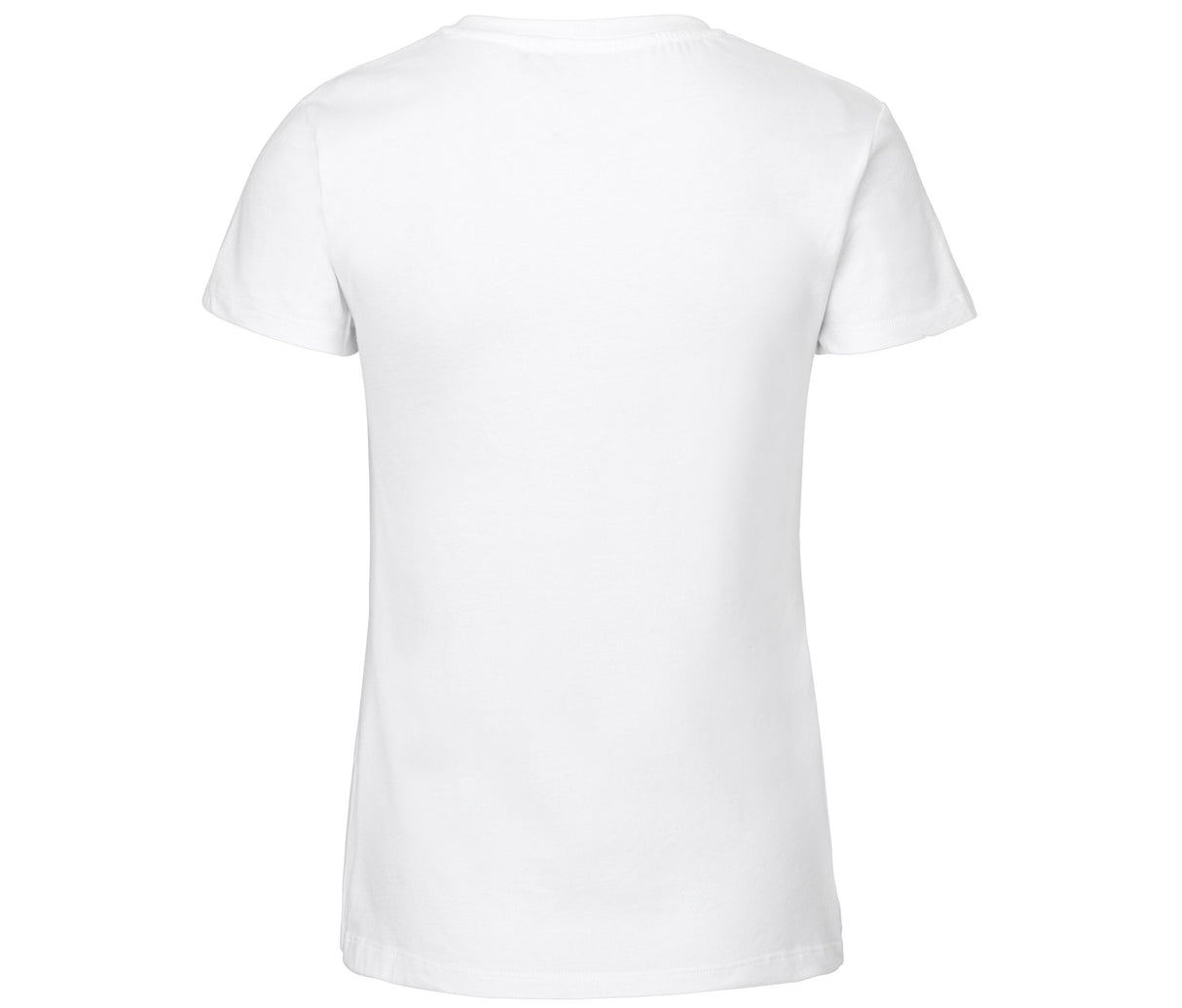 NEUTRAL LADIES V-NECK T-SHIRT