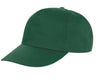 RESULT HOUSTON 5-PANEL PRINTERS CAP