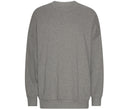 TIGER OVERSIZED SWEATSHIRT