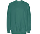 TIGER OVERSIZED SWEATSHIRT