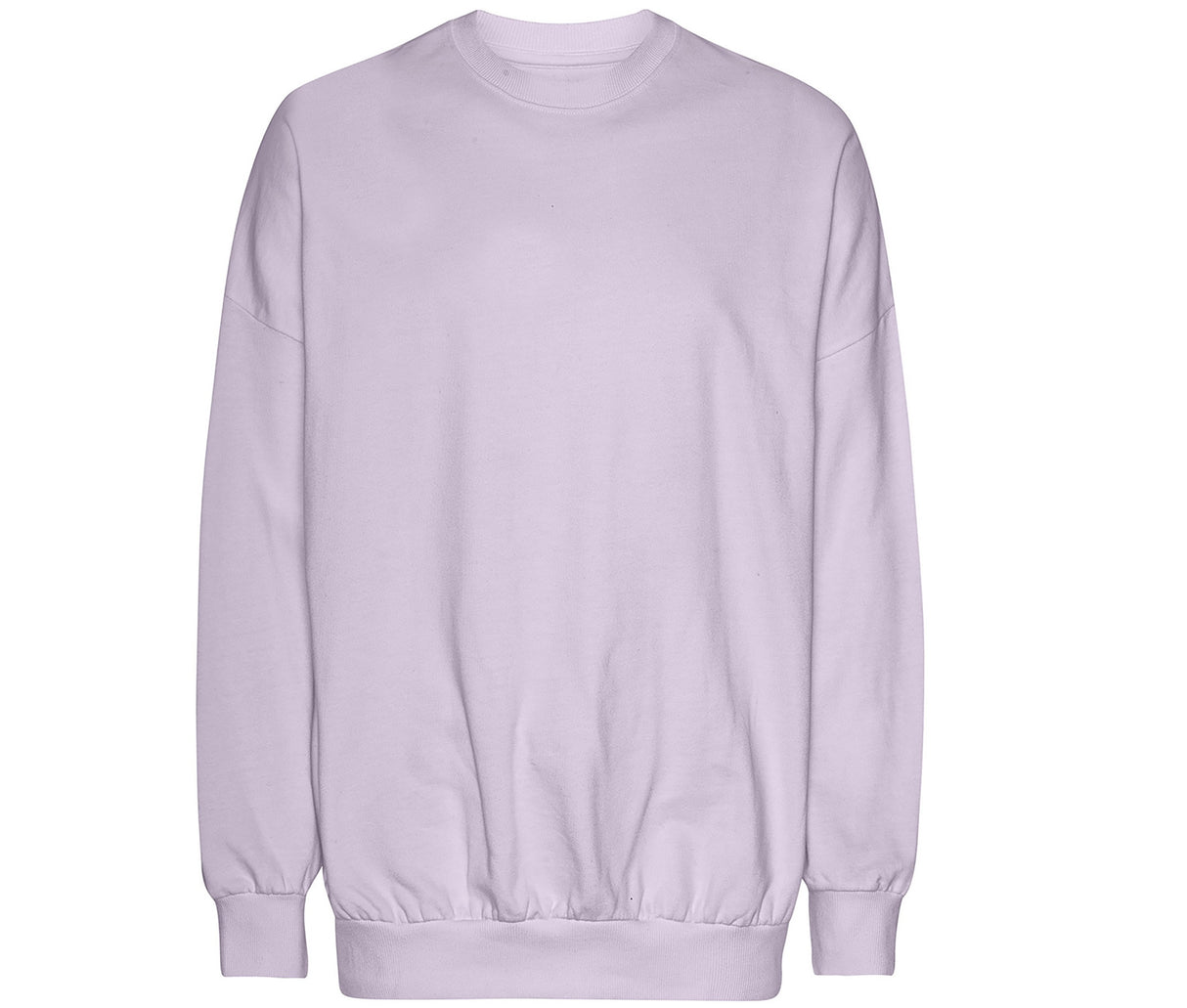 TIGER OVERSIZED SWEATSHIRT