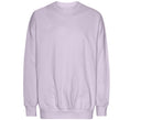 TIGER OVERSIZED SWEATSHIRT