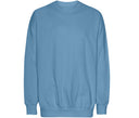 TIGER OVERSIZED SWEATSHIRT
