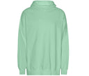 TIGER OVERSIZED HOODIE