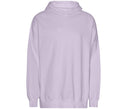 TIGER OVERSIZED HOODIE