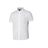 MEN'S SHORT-SLEEVE SHIRT